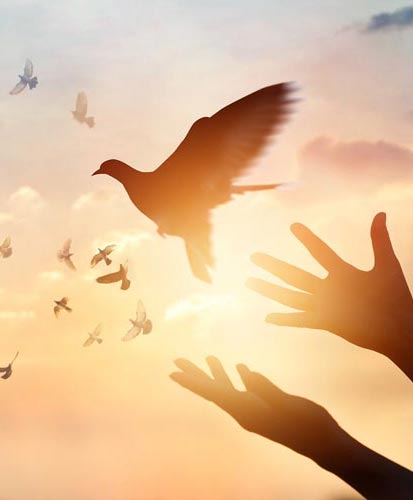person releasing doves at sunset