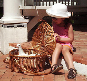 girl opening basket with dove inside